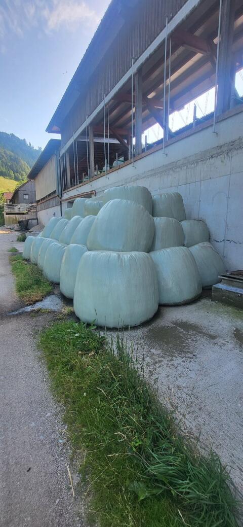 Siloballen 6. Schnitt 2025