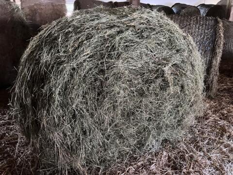Heu, Grummet, 2. Schnitt, Rundballen
