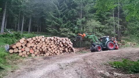 Holzschlägerung, Rückearbeiten, Brennholz
