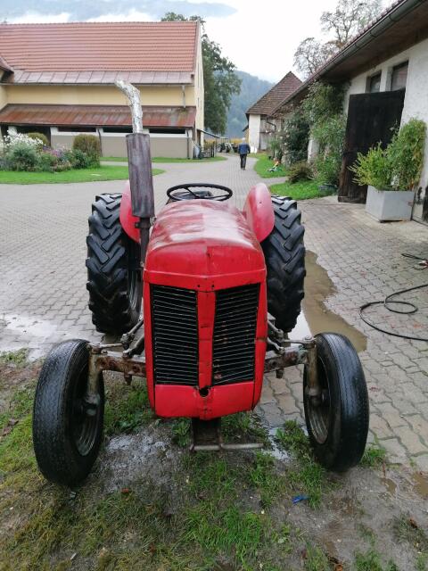 Oldtimer Massey Ferguson TEF 20, Bj. 1956