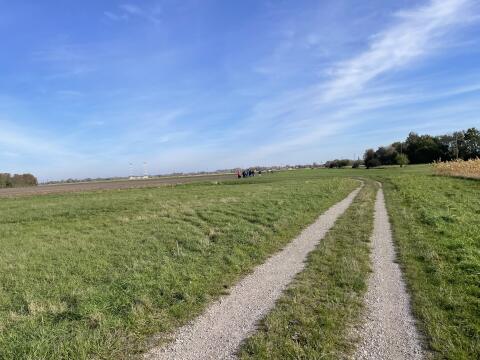 Ackerflächen ca. 23 ha Raum Ebreichsdorf zu verkaufen