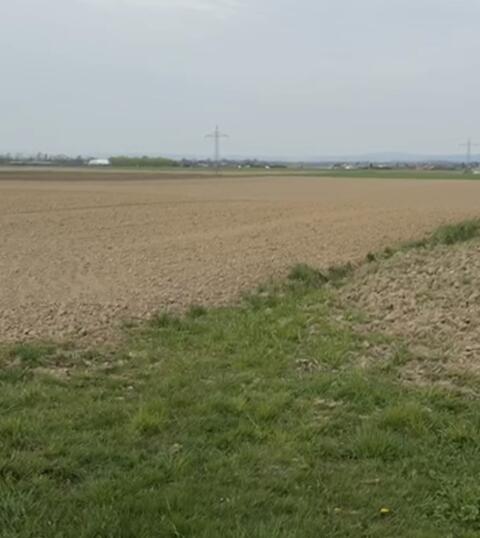 Ackerland in Antiesenhofen