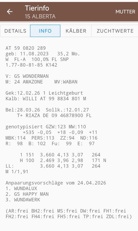 Bio-Fleckvieh Jungkuh trächtig