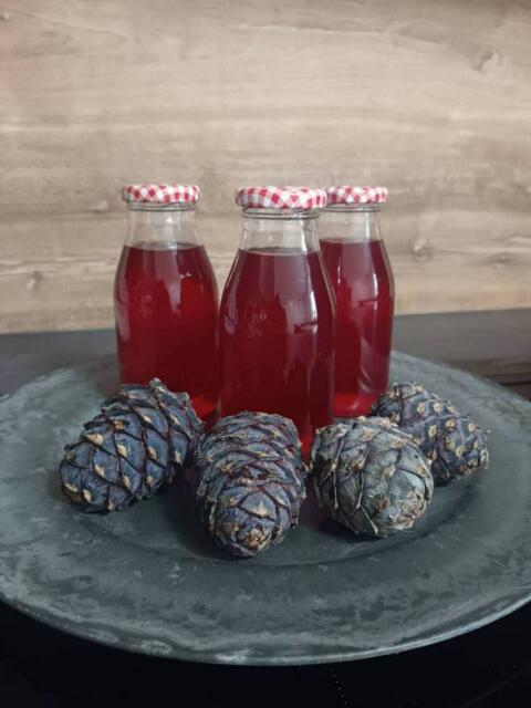 Zirbensirup