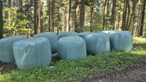 Silageballen
