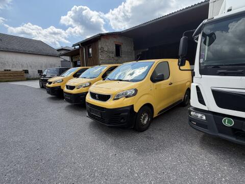 Peugeot Expert Dangel 4x4