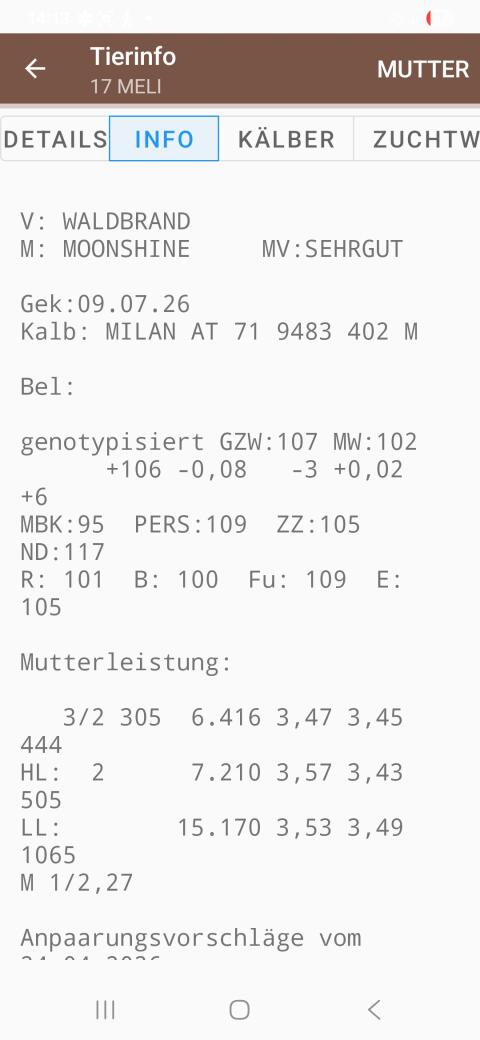 Verkaufe Kuh