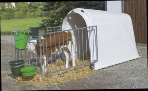 Kälberiglu Calf House