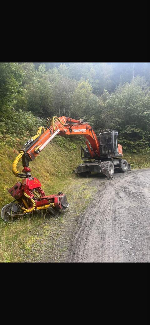 Baggerprozessor Hitachi Woody 60