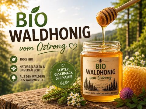 Verkaufe Bio-Waldhonig vom Ostrong