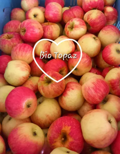 Bio Topaz Äpfel auch für Wiederverkäufer