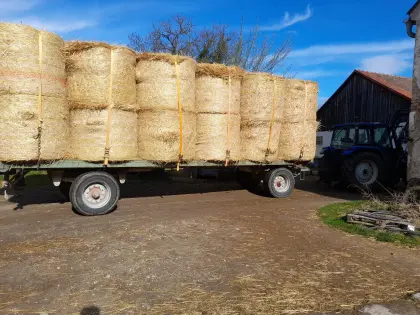 Rundballen Stroh Dm. 140 cm