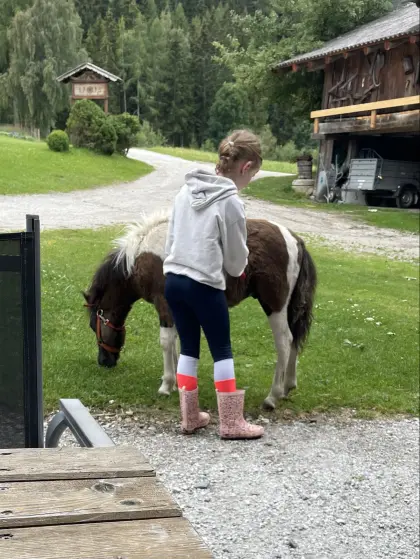 Shetlandpony-Fohlen Fridolin Kinderpony