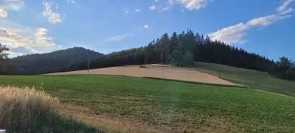Verkaufe 1 ha Triticale, Weizen