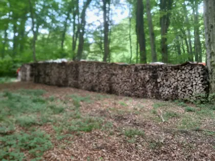 Buchenbrennholz