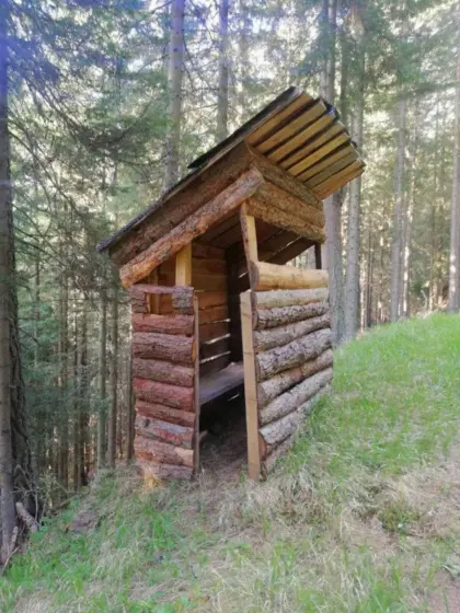 Holzbretter, Schwartlinge