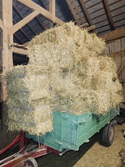 HD Kleinballen, Roggenstroh