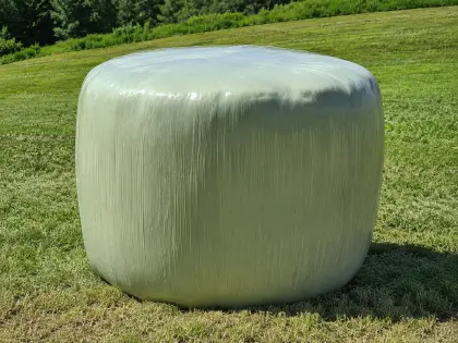 SUCHE Grassilageballen