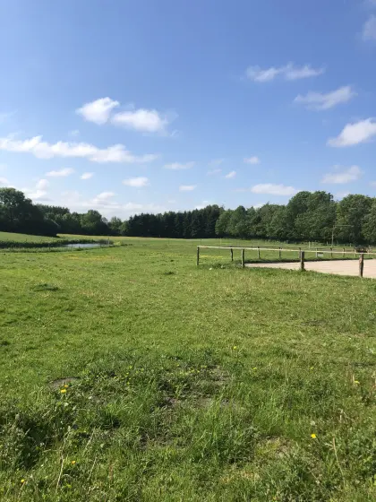 Stellplatz Pferd, Pony
