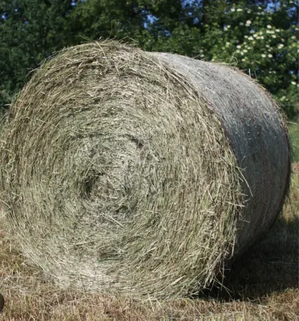 Suche Heuballen 2. Schnitt