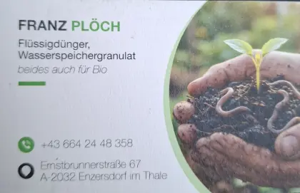 Herr