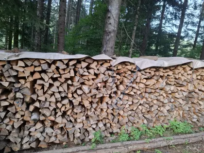 Brennholz 1 m Scheiter