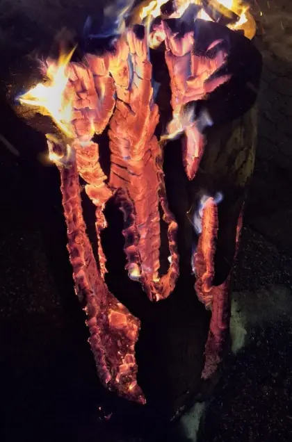 Schwedenfeuer