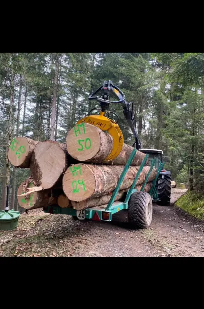 Forstliche Mithilfe-Arbeit
