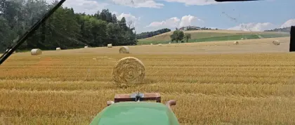 Strohballen 155 cm