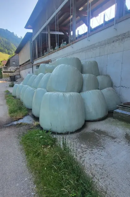 Siloballen 6. Schnitt 2025