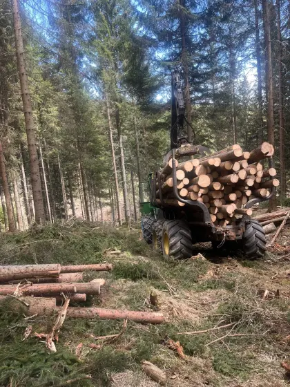 Forstdienstleistungen