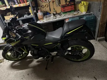 Kawasaki 650 Naked Bike