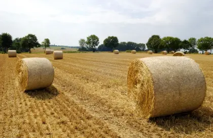 Stroh-Rundballen