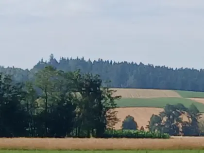 Pferdeheu