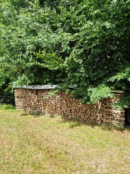 Brennholz hart Esche