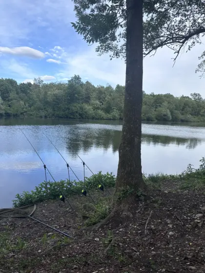 Suche Seeparzelle mit Fischereirecht zum Pachten