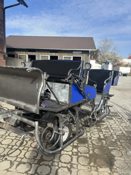 Pferdeschlitten, Kutsche