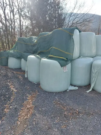 Maisballen
