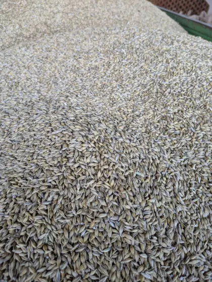 Bio-Weizen, Gerste, Triticale