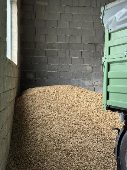 Strohpellets