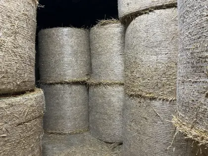 Strohballen, Quaderballen