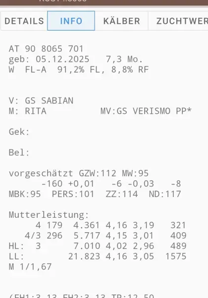 Verkaufe Bio-Kalb und Bio-Kalbin