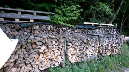 Brennholz