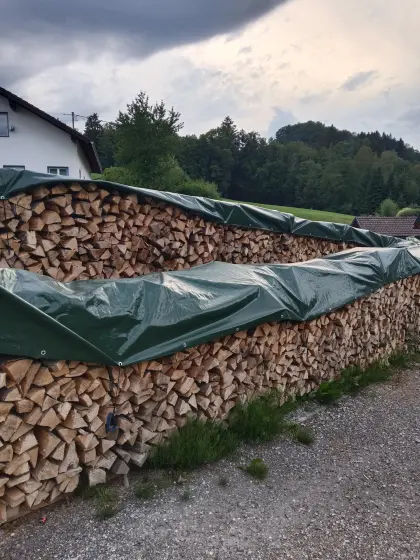 Brennholz Buche