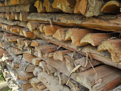 Brennholz, Scheitholz, Hartholz, Weichholz, einzeln, gemischt