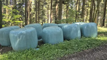 Silageballen