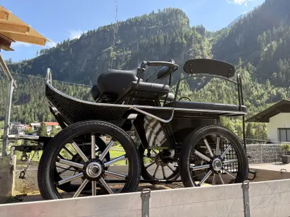 Pferdekutsche