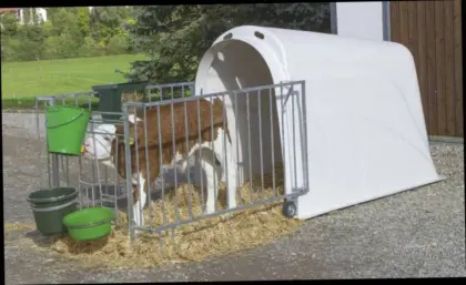 Kälberiglu Calf House