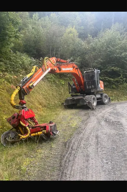 Baggerprozessor Hitachi Woody 60
