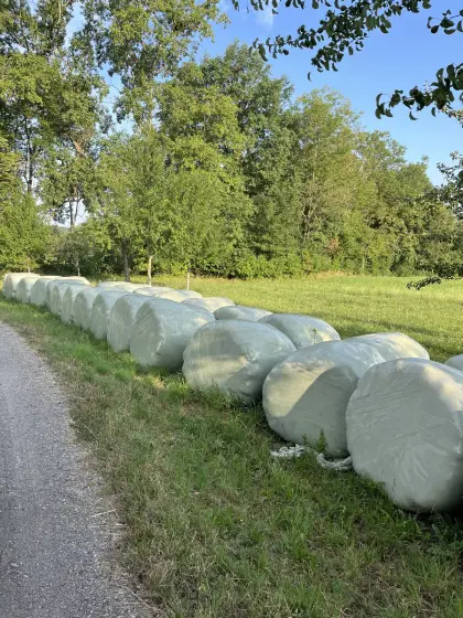 30 Stk. Silageballen 3. Schnitt 2025